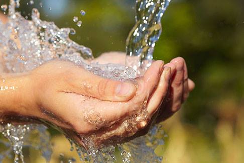 La importancia del agua en nuestro cuerpo